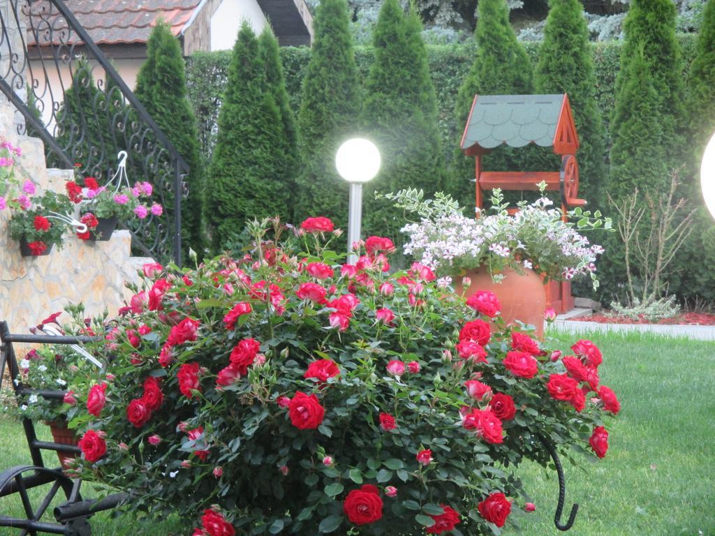 Vila Boska Palic Bagian luar foto