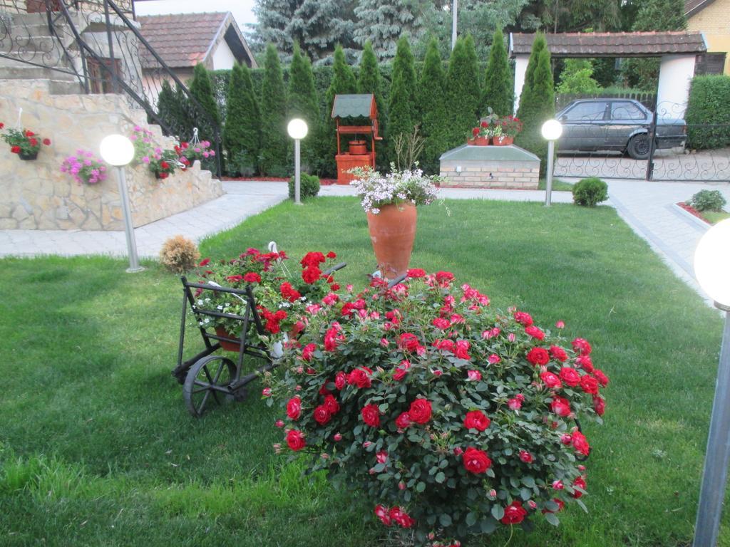 Vila Boska Palic Bagian luar foto